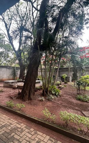 Apartamento para alugar com 62m², 2 quartos e 1 vaga Apartamento para alugar com 62m², 2 quartos e 1 vagaÁrea comum
