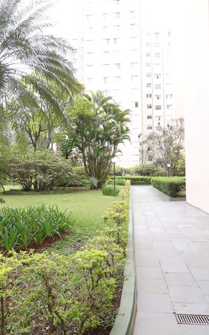 Apartamento à venda com 75m², 3 quartos e 2 vagasÁrea comum