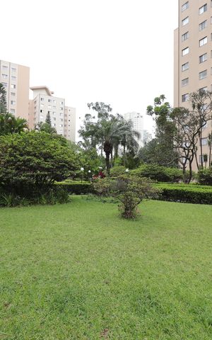 Apartamento à venda com 75m², 3 quartos e 2 vagasÁrea comum