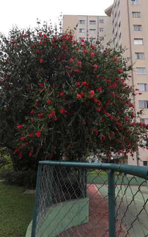 Apartamento à venda com 75m², 3 quartos e 2 vagasÁrea comum