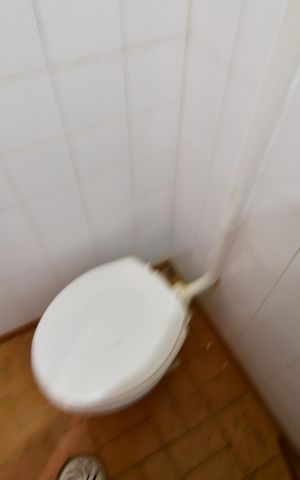 Casa para alugar com 288m², 3 quartos e 2 vagasBanheiro de serviço