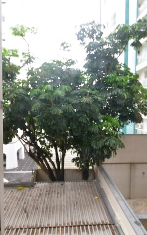 Apartamento para alugar com 74m², 2 quartos e 1 vagaQuarto 2 - Suíte Vista
