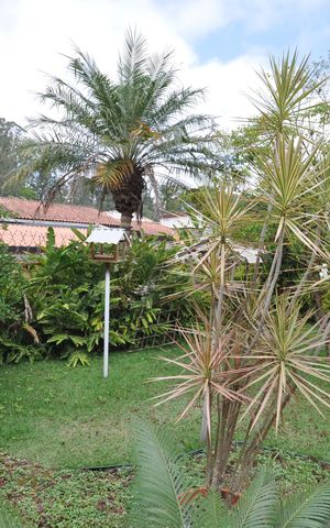 Casa à venda com 172m², 4 quartos e 3 vagasJardim
