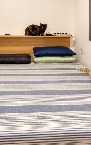 Apartamento à venda com 25m², 1 quarto e sem vagaDormitório