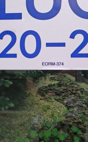 Apartamento para alugar com 80m², 2 quartos e 1 vagaFachada | Adesivo/Placa Quintoandar instalado 