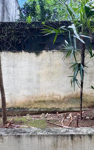 Apartamento à venda com 62m², 2 quartos e sem vaga Apartamento à venda com 62m², 2 quartos e sem vagaVista - Quarto 2