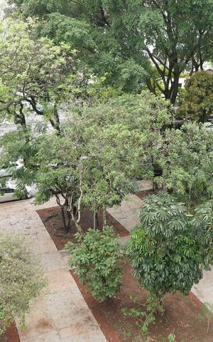 Apartamento para alugar com 48m², 2 quartos e sem vagaVista da Suíte