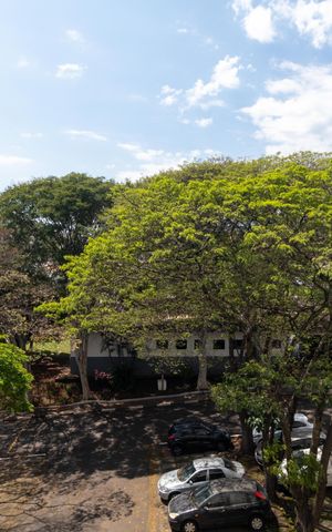 Apartamento para alugar com 55m², 2 quartos e 1 vaga Apartamento para alugar com 55m², 2 quartos e 1 vagaVista da Salas