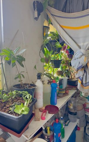 Apartamento à venda com 50m², 2 quartos e sem vaga Apartamento à venda com 50m², 2 quartos e sem vagaÁrea de Serviço