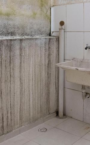 Casa para alugar com 60m², 2 quartos e 1 vagaÁrea de Serviço