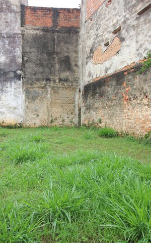 Casa para alugar com 90m², 4 quartos e 4 vagasQuintal