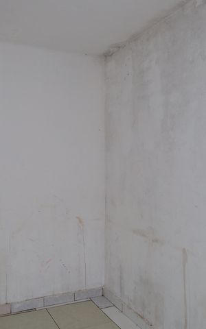 Casa para alugar com 3m², 1 quarto e sem vagaSala