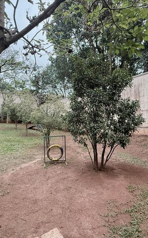 Studio para alugar com 42m², 1 quarto e 1 vaga Studio para alugar com 42m², 1 quarto e 1 vagaEspaço Pet