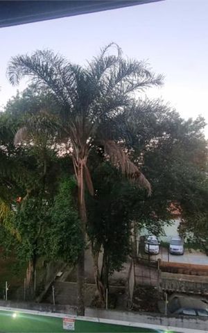 Apartamento à venda com 49m², 2 quartos e 1 vaga