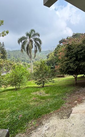 Casa para alugar com 470m², 3 quartos e 6 vagas Casa para alugar com 470m², 3 quartos e 6 vagasÁrea verde