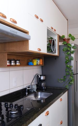 Apartamento para alugar com 45m², 2 quartos e 1 vagaCozinha
