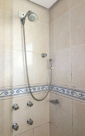 Apartamento para alugar com 94m², 2 quartos e 2 vagasBanheiro da Suíte