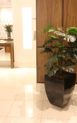 Apartamento à venda com 83m², 2 quartos e 2 vagasHall social