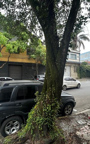 Casa para alugar com 50m², 2 quartos e sem vaga Casa para alugar com 50m², 2 quartos e sem vagaVista