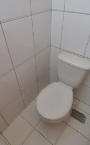 Apartamento para alugar com 85m², 3 quartos e 2 vagasBanheiro de serviço