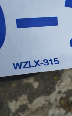 Apartamento à venda com 54m², 2 quartos e 2 vagas Apartamento à venda com 54m², 2 quartos e 2 vagasplaca instalada WZLX-315
