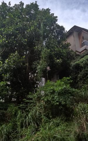 Apartamento para alugar com 54m², 1 quarto e 1 vagaVista da Sala