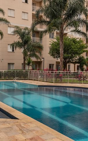 Apartamento para alugar com 53m², 2 quartos e 1 vaga Apartamento para alugar com 53m², 2 quartos e 1 vagaÁrea comum - Piscina