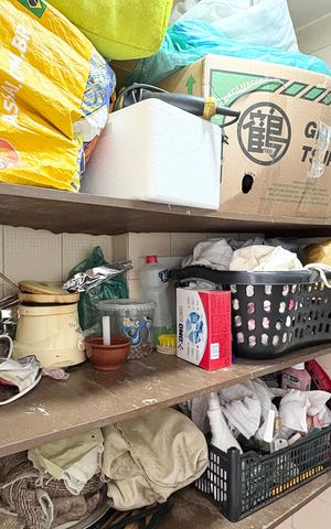Apartamento à venda com 50m², 2 quartos e 1 vaga Apartamento à venda com 50m², 2 quartos e 1 vagaBanheiro de serviço