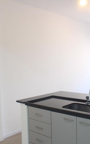Apartamento para alugar com 45m², 1 quarto e 1 vagaCozinha