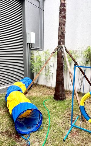 Apartamento para alugar com 25m², 1 quarto e sem vagaPetplace 