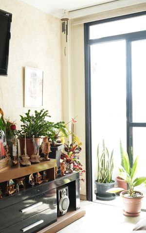 Apartamento à venda com 50m², 2 quartos e 1 vagaSala