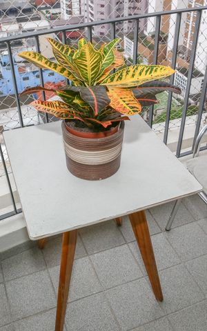 Apartamento à venda com 56m², 2 quartos e 1 vagaSacada
