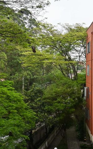 Apartamento à venda com 58m², 2 quartos e 1 vagaVista do Quarto 2