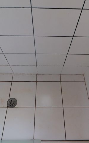 Apartamento para alugar com 63m², 2 quartos e 2 vagasBanheiro 