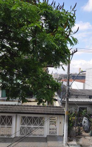 Casa à venda com 319m², 4 quartos e 1 vagaVista do Quarto 1