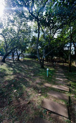 Apartamento para alugar com 42m², 2 quartos e 1 vaga Apartamento para alugar com 42m², 2 quartos e 1 vagaÁrea comum