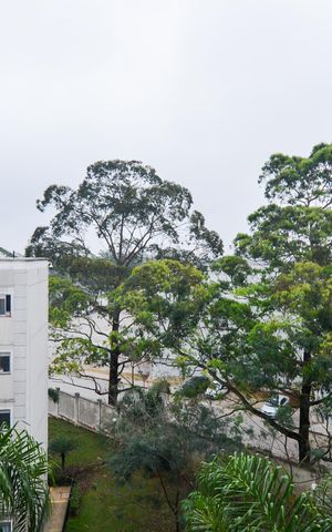 Apartamento para alugar com 42m², 2 quartos e 1 vagaVista do Quarto 1