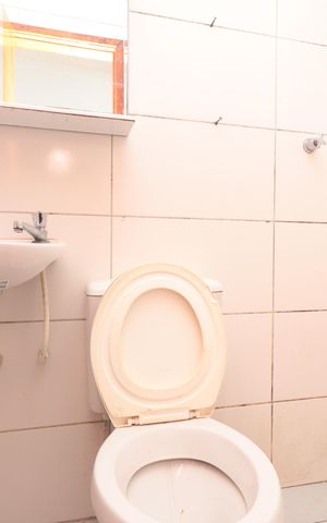 Casa para alugar com 42m², 2 quartos e 1 vagaBanheiro