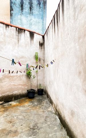 Casa à venda com 50m², 2 quartos e 2 vagasQuintal 