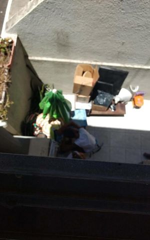 Casa de condomínio à venda com 79m², 3 quartos e 1 vaga Casa de condomínio à venda com 79m², 3 quartos e 1 vagaÁrea de serviço