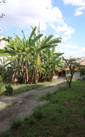 Casa para alugar com 80m², 2 quartos e 4 vagasQuintal