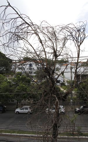 Apartamento à venda com 165m², 3 quartos e 2 vagasVista