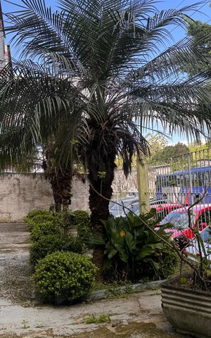 Apartamento para alugar com 50m², 2 quartos e 1 vagaÁrea comum