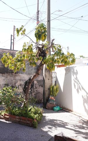 Casa para alugar com 250m², 2 quartos e 1 vagaÁrea externa
