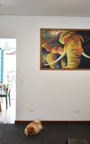 Casa à venda com 145m², 3 quartos e 1 vagaSala