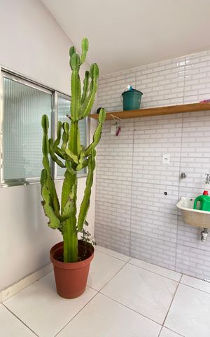 Apartamento para alugar com 75m², 2 quartos e sem vaga