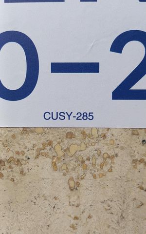 Apartamento para alugar com 98m², 2 quartos e sem vagaPlaca