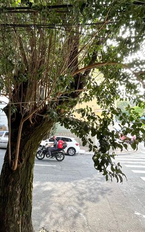 Apartamento para alugar com 80m², 2 quartos e sem vaga Apartamento para alugar com 80m², 2 quartos e sem vagaVista do Quarto 2