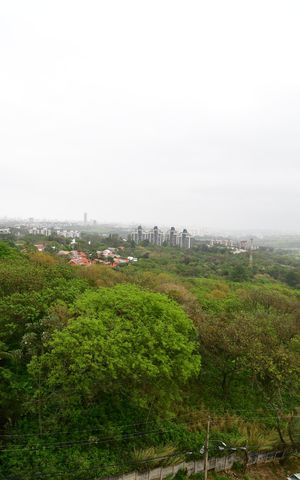 Apartamento para alugar com 44m², 2 quartos e 1 vagaQuarto 1 - Vista