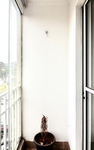 Apartamento para alugar com 48m², 2 quartos e 1 vaga Apartamento para alugar com 48m², 2 quartos e 1 vagaVaranda